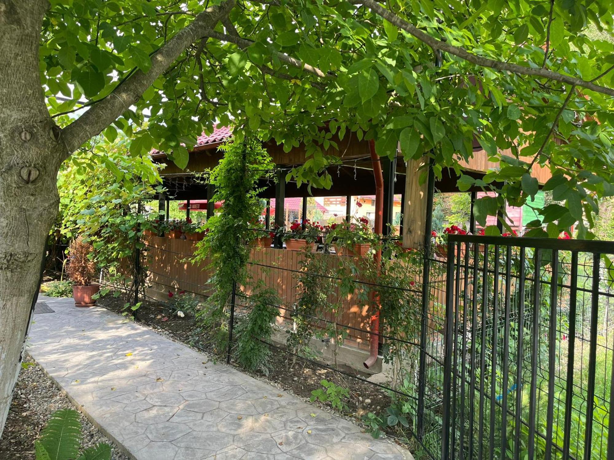 Kilometru108 Otel Leordina Dış mekan fotoğraf