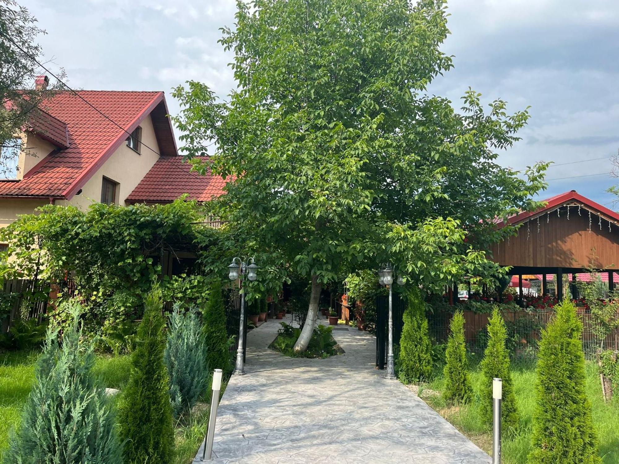 Kilometru108 Otel Leordina Dış mekan fotoğraf