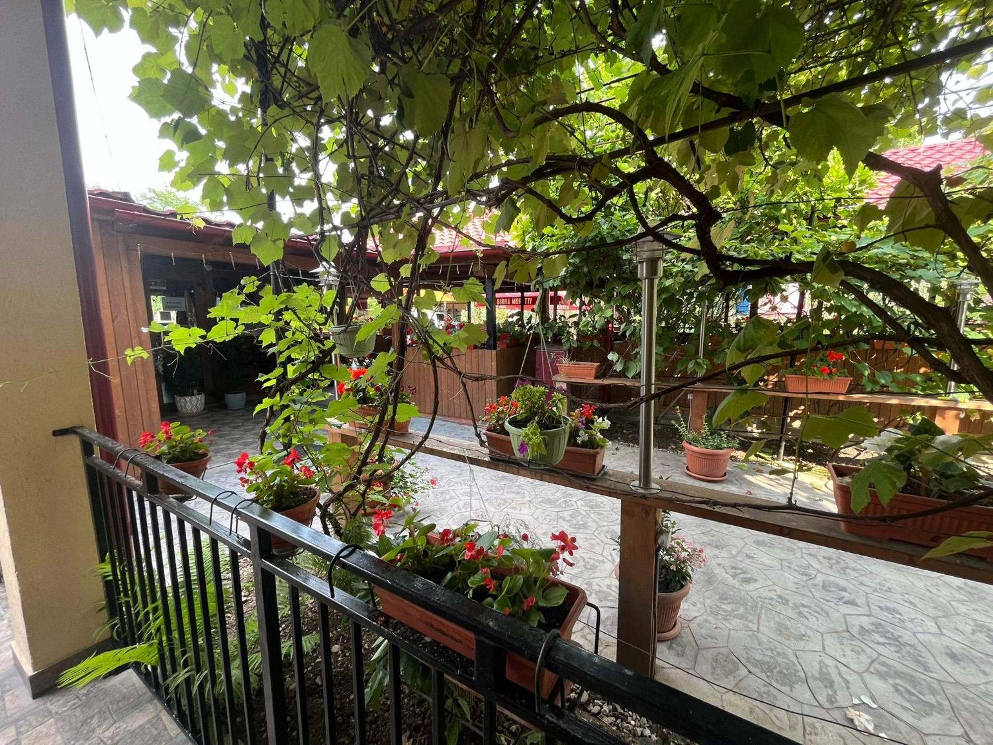 Kilometru108 Otel Leordina Dış mekan fotoğraf